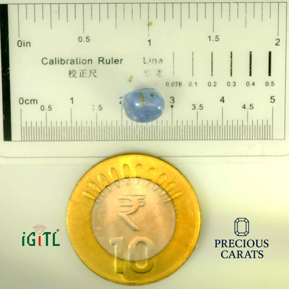 IGITL_197846_SCALE.webp