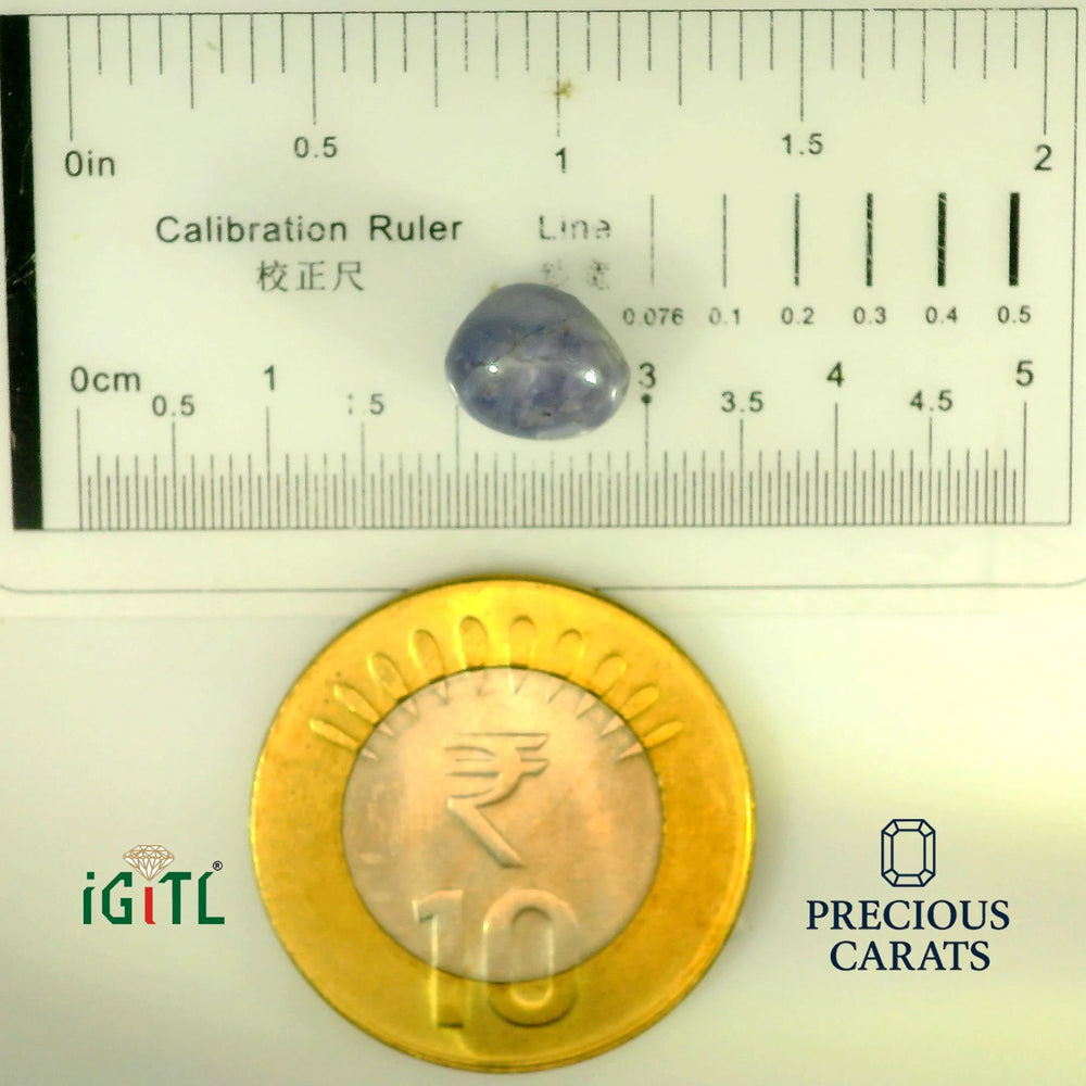 IGITL_197847_SCALE.webp