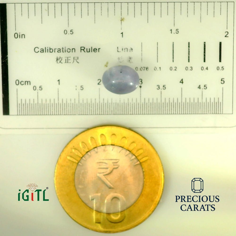 IGITL_197853_SCALE.webp