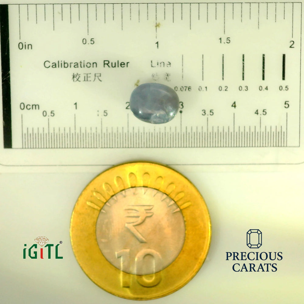 IGITL_197854_SCALE.webp