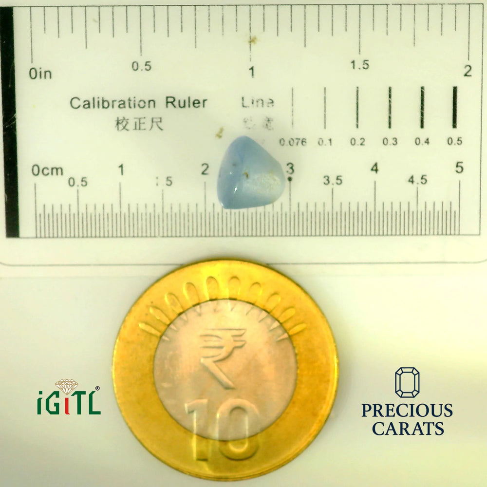 IGITL_197855_SCALE.webp