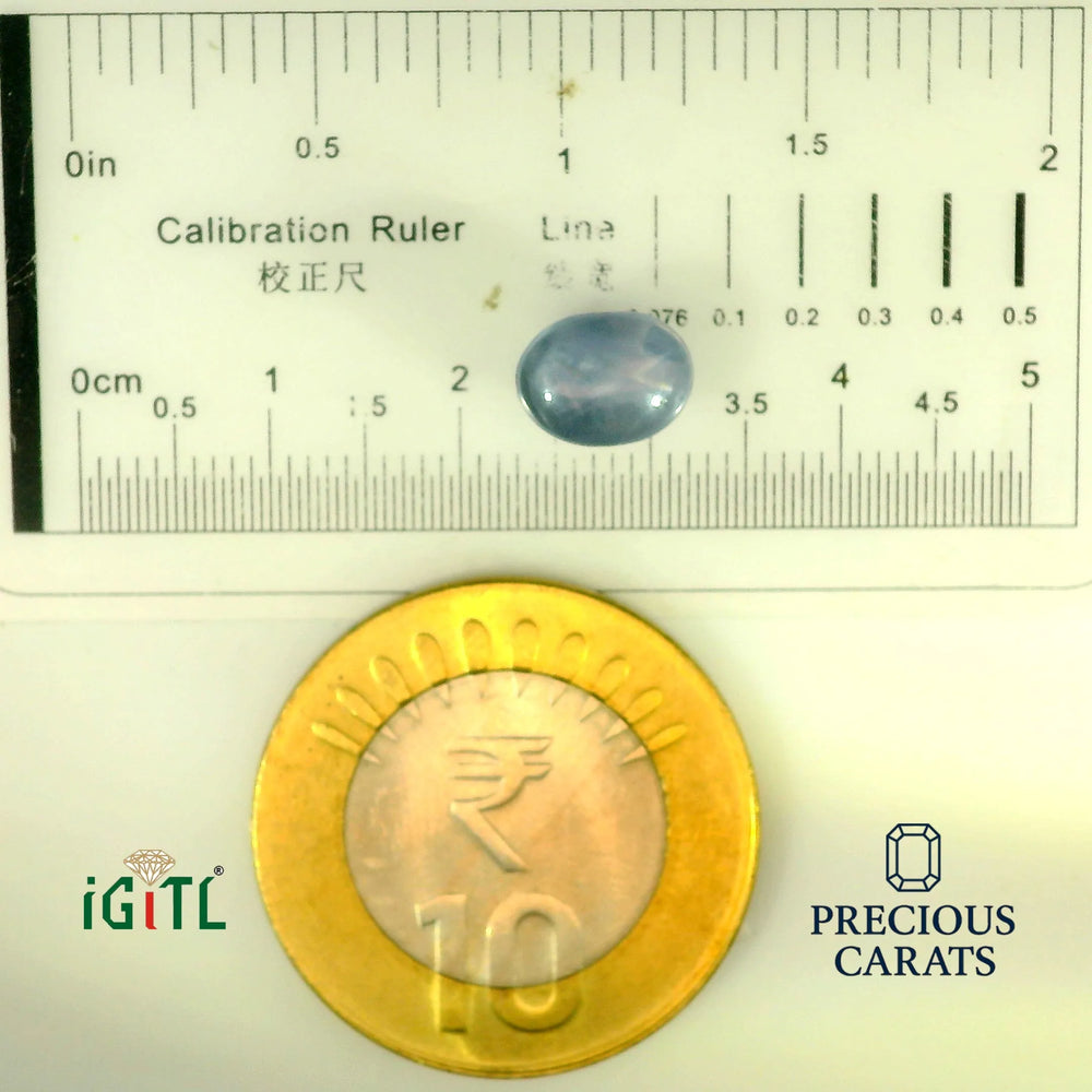 IGITL_197856_SCALE.webp