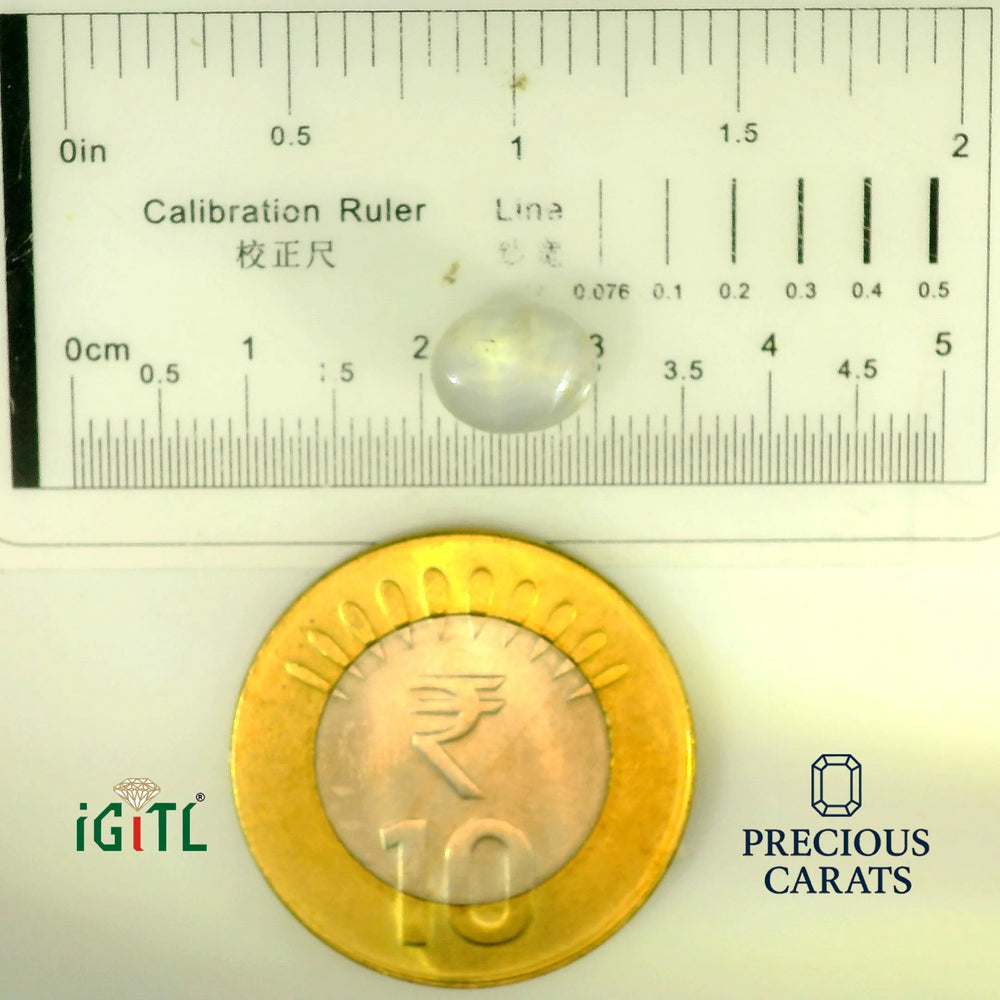 IGITL_197857_SCALE.webp