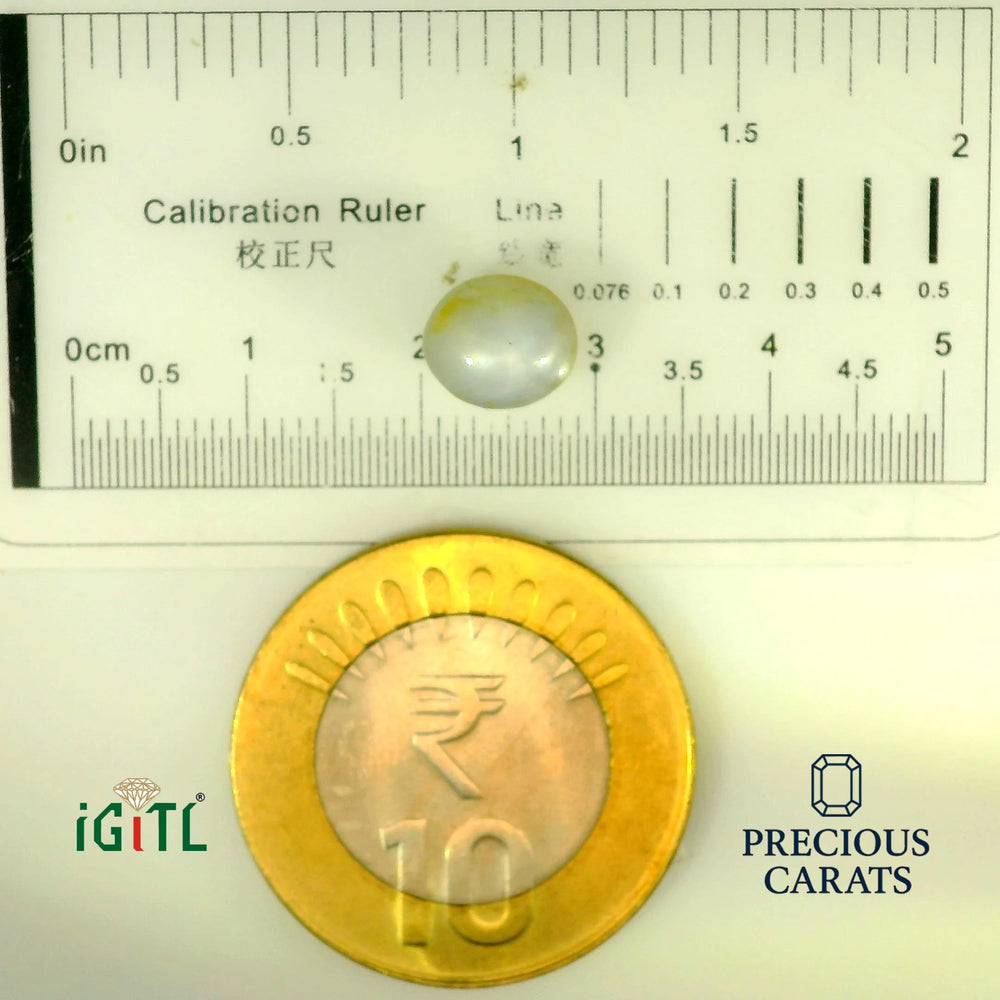 IGITL_197858_SCALE.webp