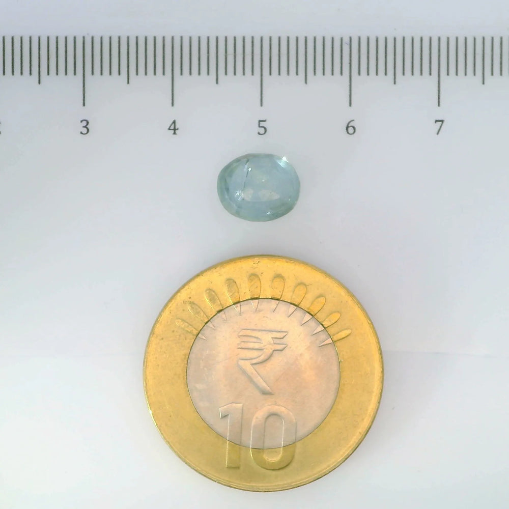 IGITL_200238_SCALE.webp