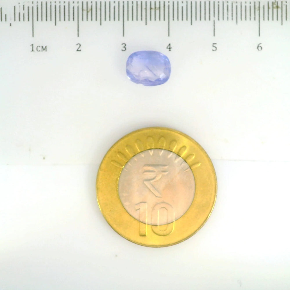 IGITL_200253_SCALE.webp