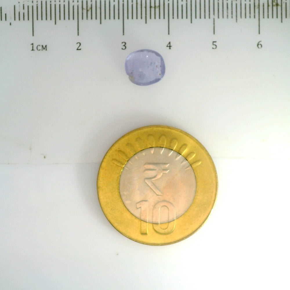 IGITL_200254_SCALE.webp