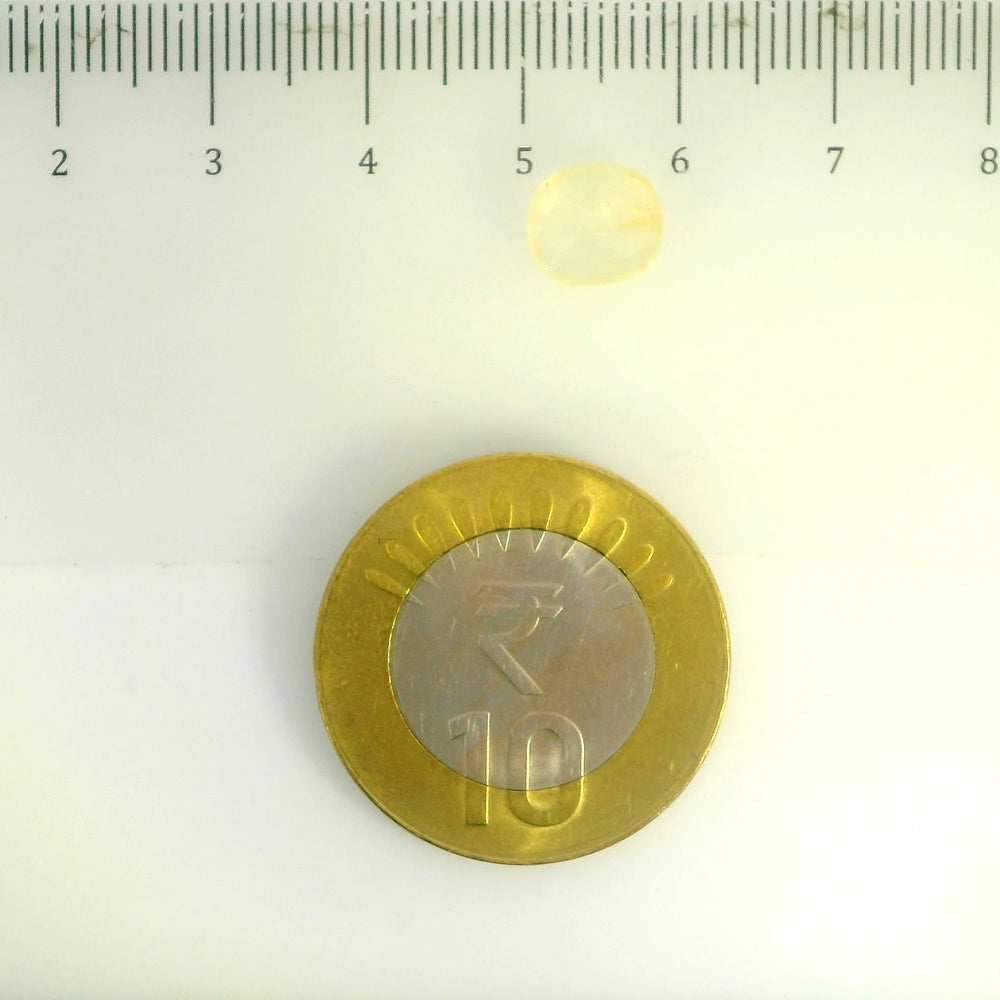 IGITL_200282_SCALE.webp