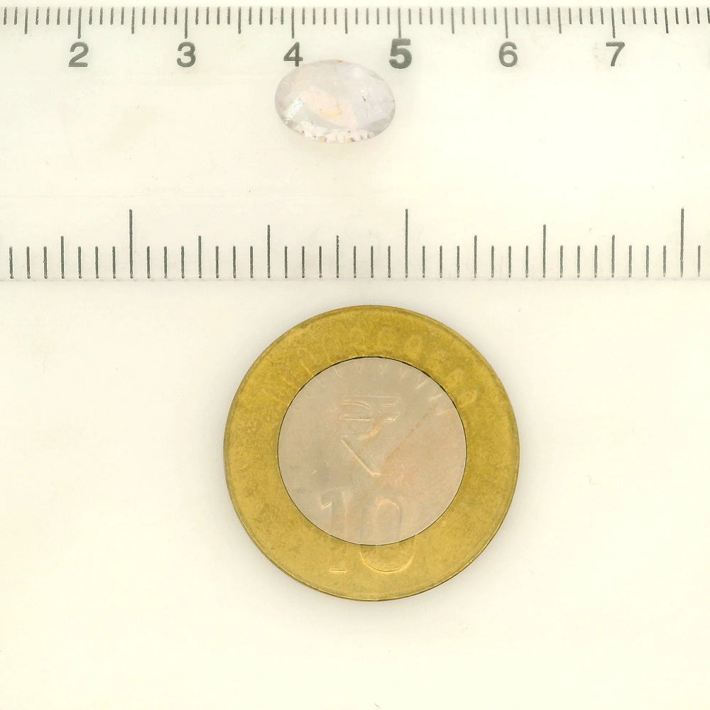 IGITL_200291_SCALE.webp
