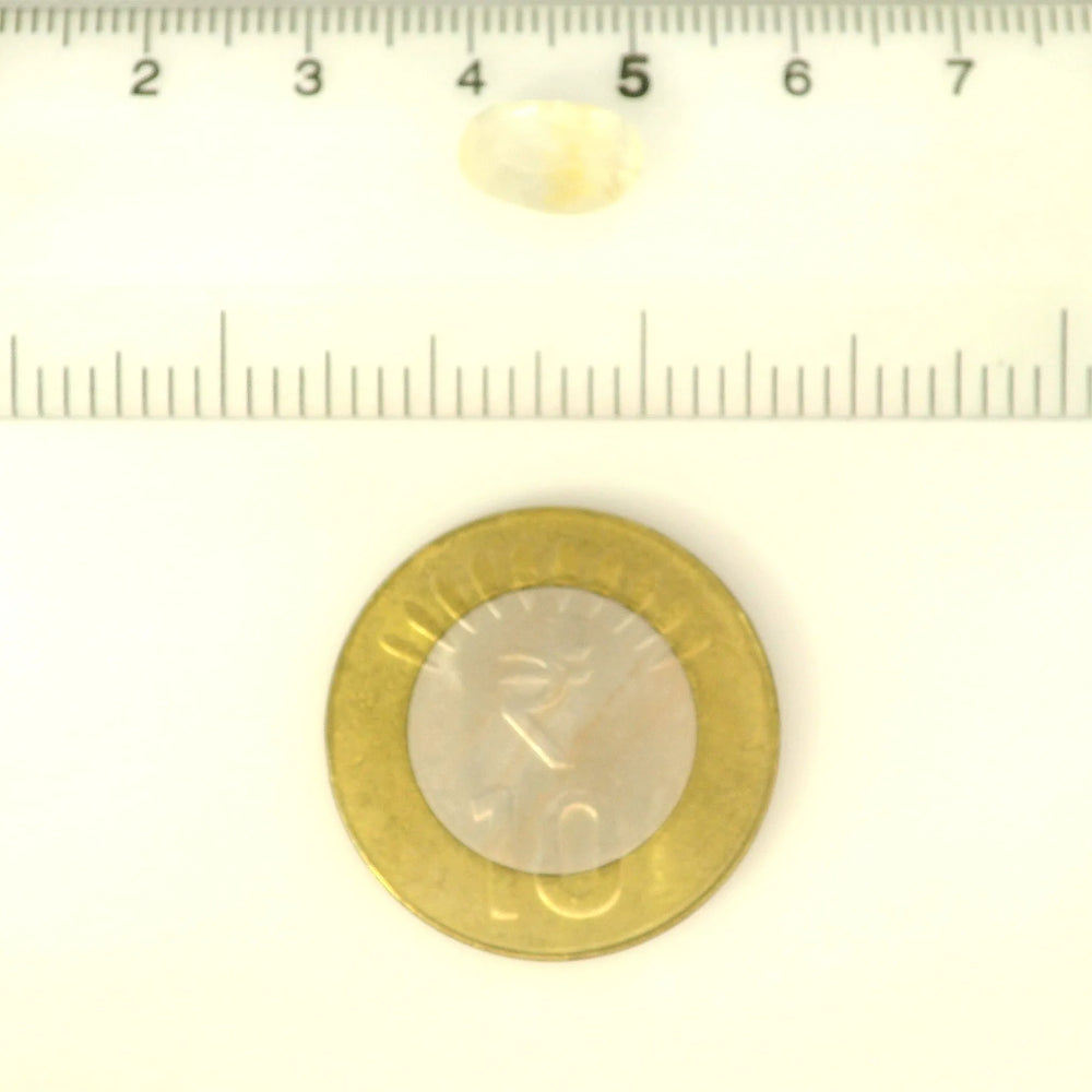 IGITL_200294_SCALE.webp