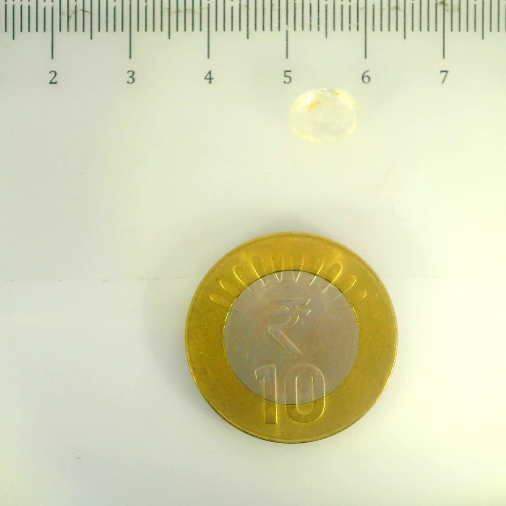IGITL_200296_SCALE.webp