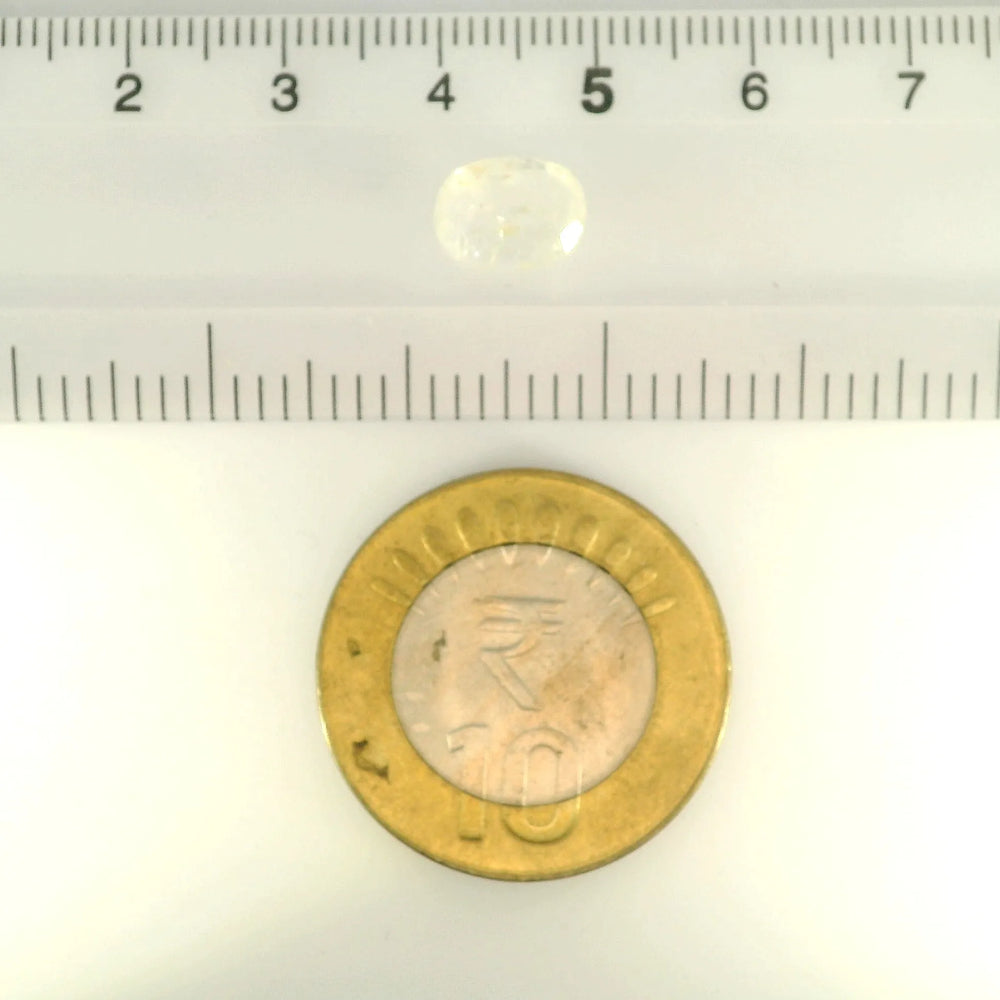 IGITL_200298_SCALE.webp