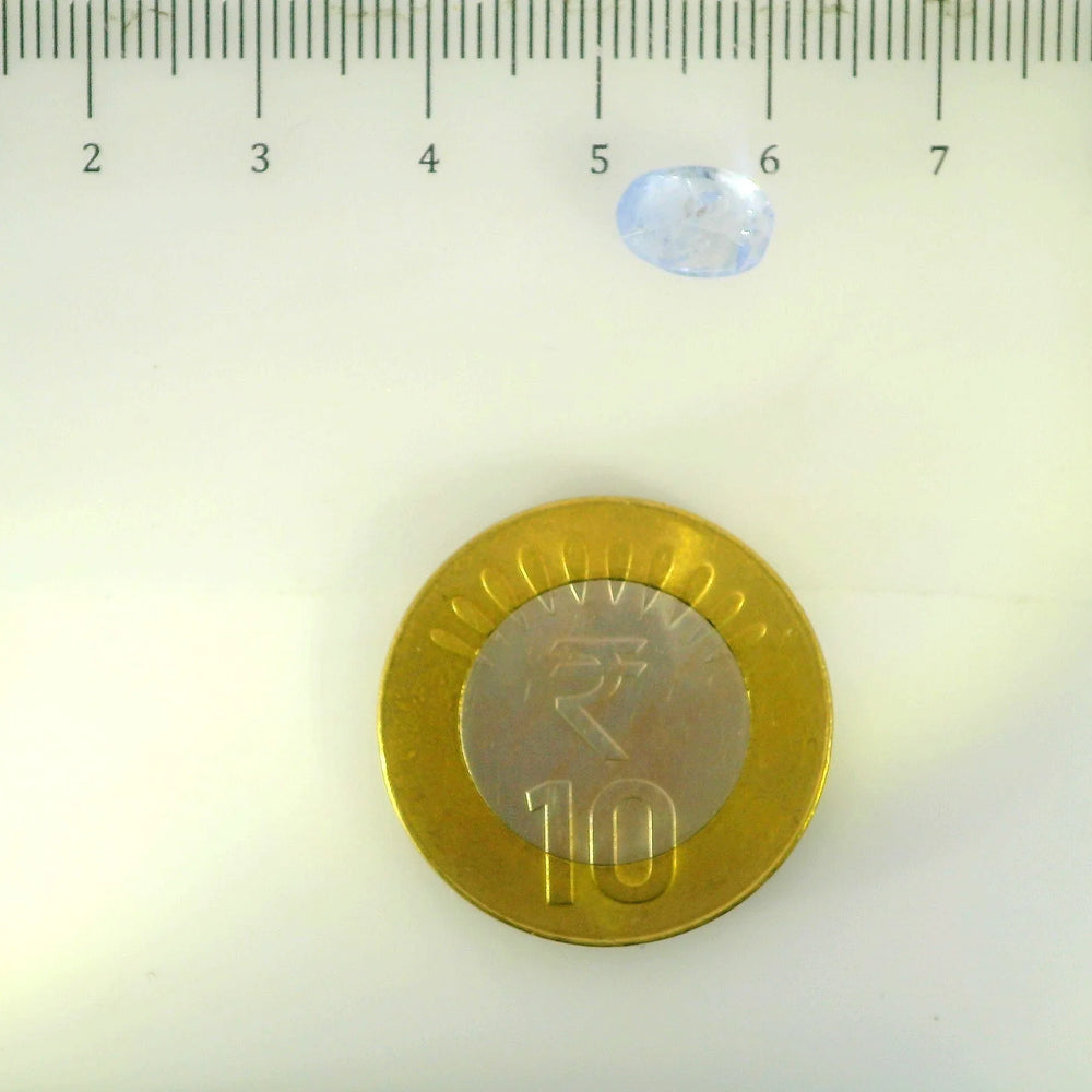 IGITL_200329_SCALE.webp