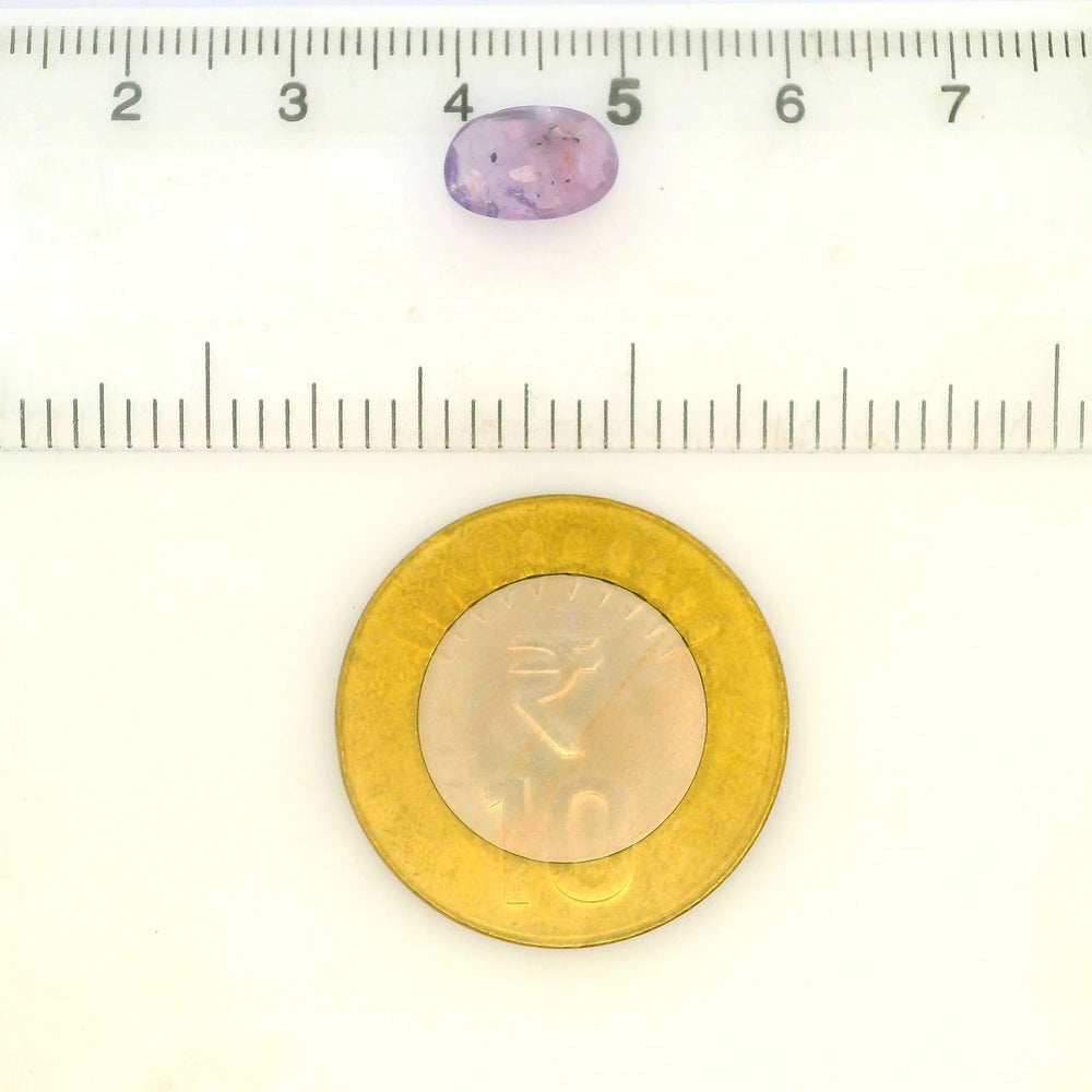 IGITL_200332_SCALE.webp