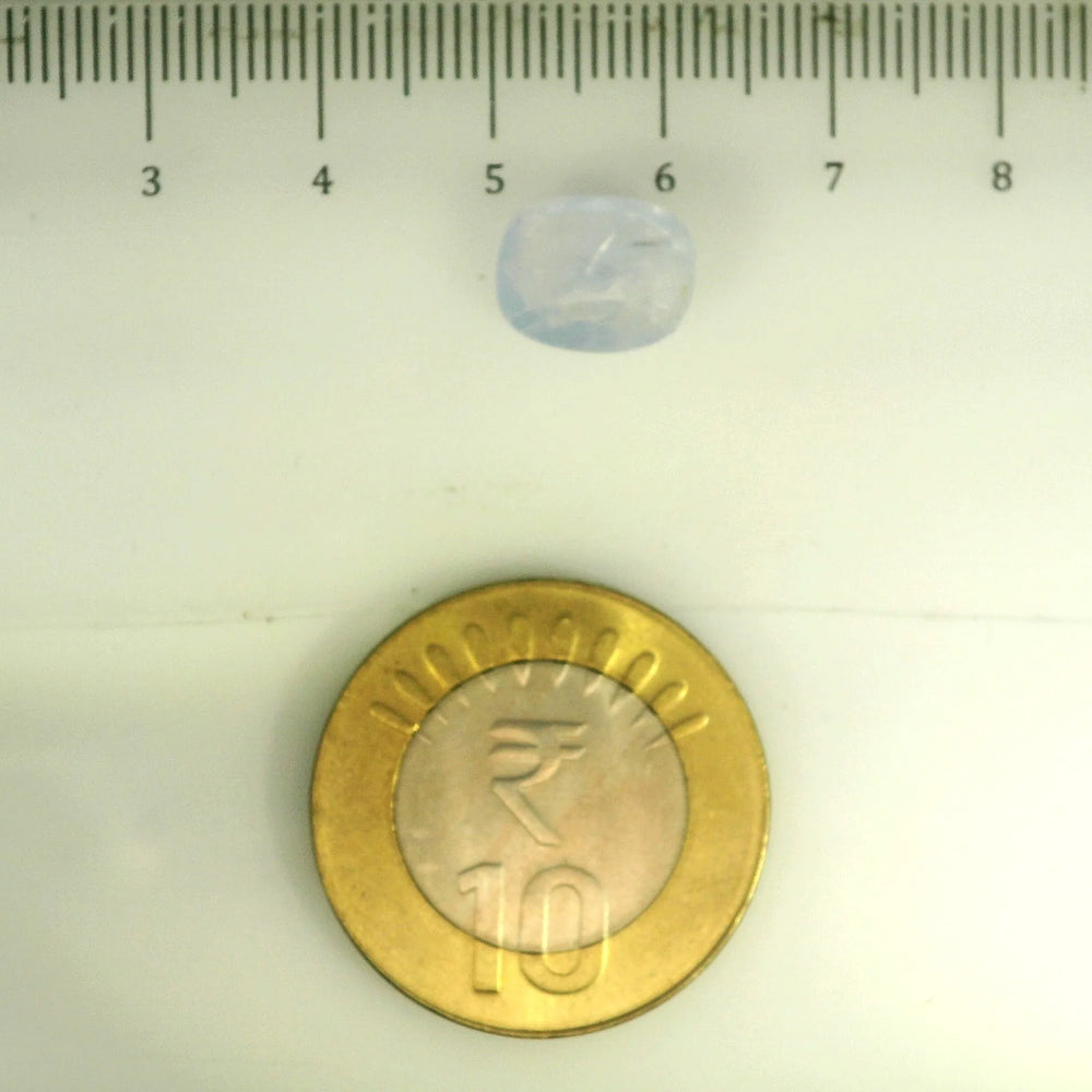 IGITL_201531_SCALE.webp