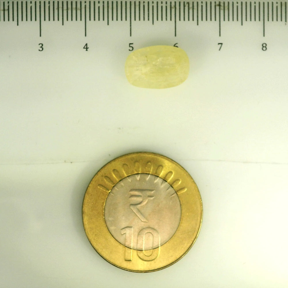 IGITL_201542_SCALE.webp