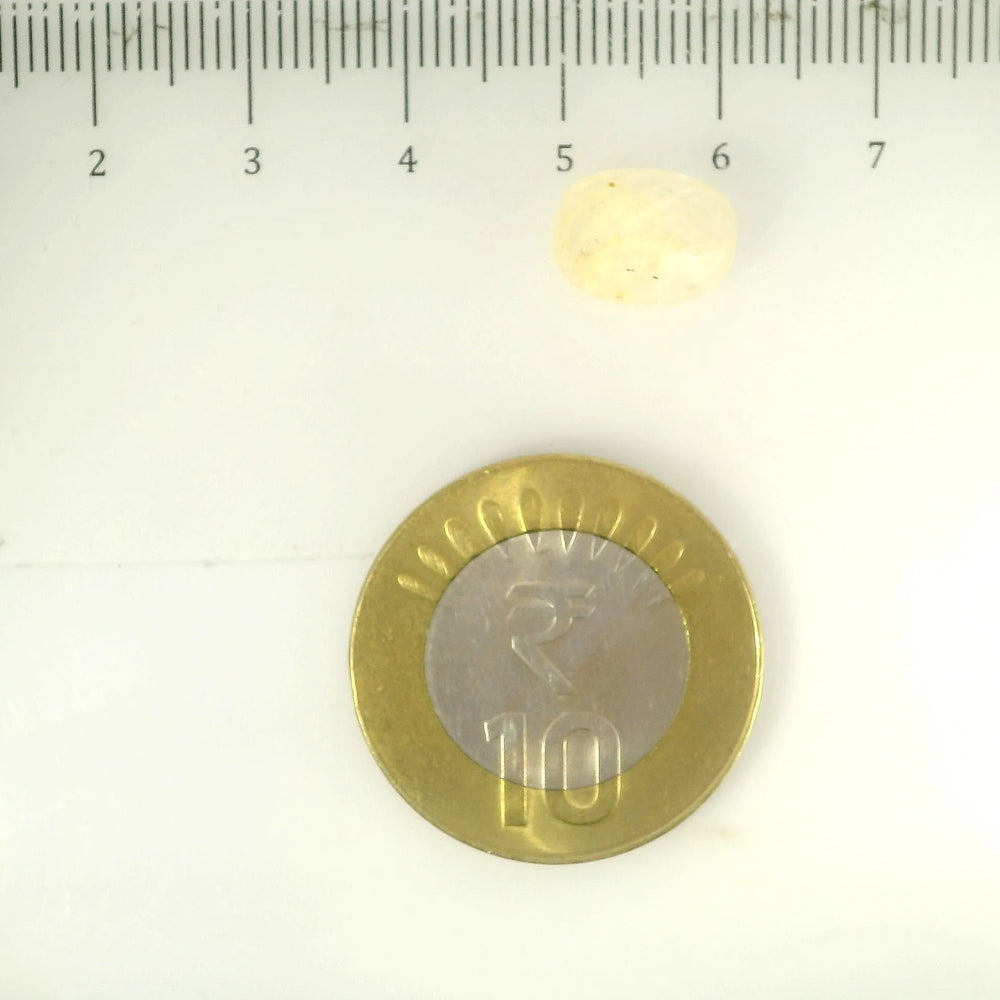 IGITL_201546_SCALE.webp