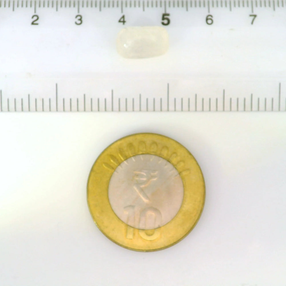 IGITL_201547_SCALE.webp