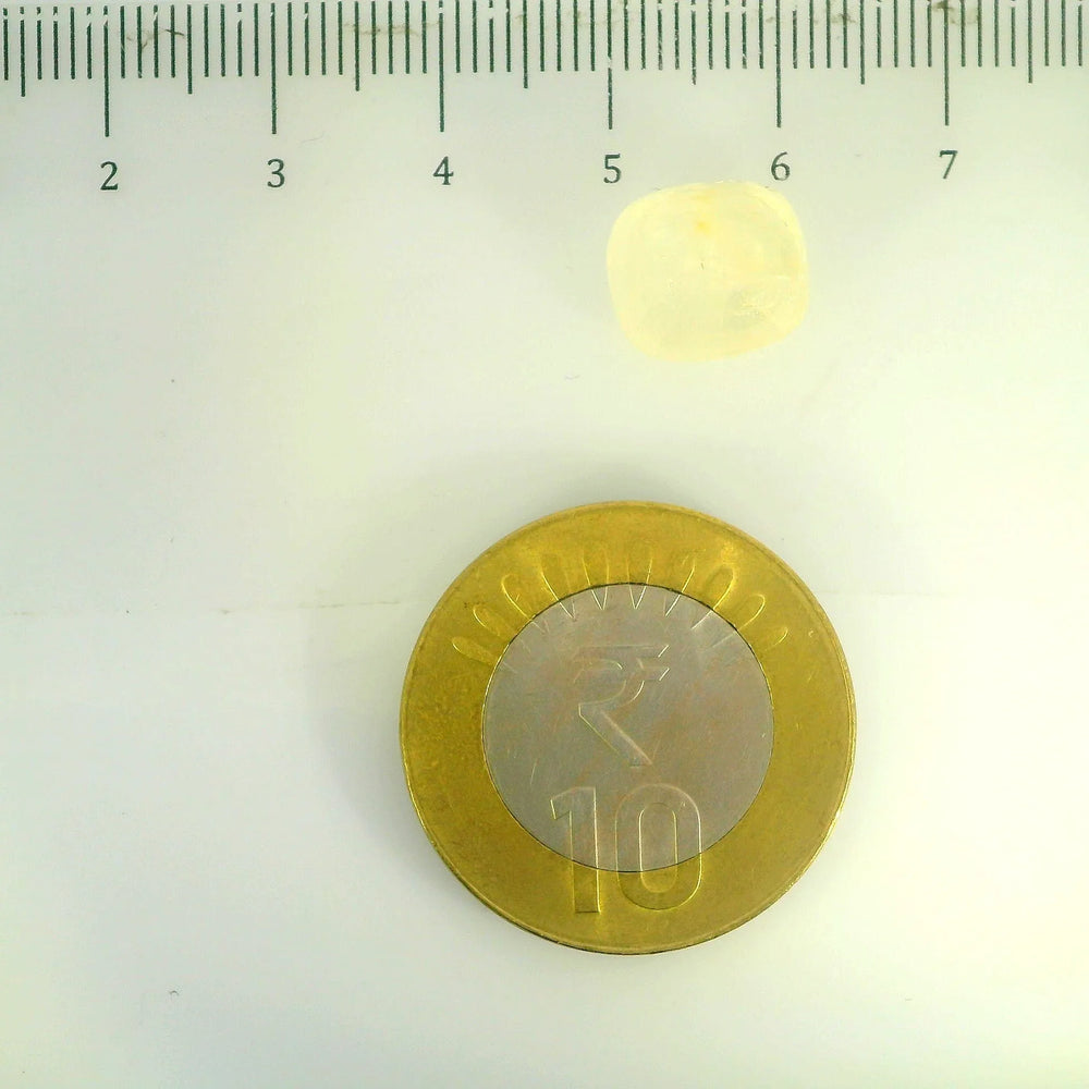 IGITL_201548_SCALE.webp