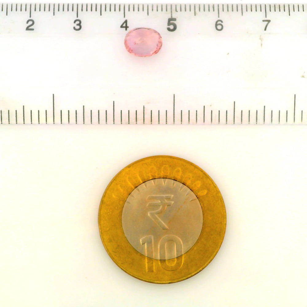 IGITL_201558_SCALE.webp