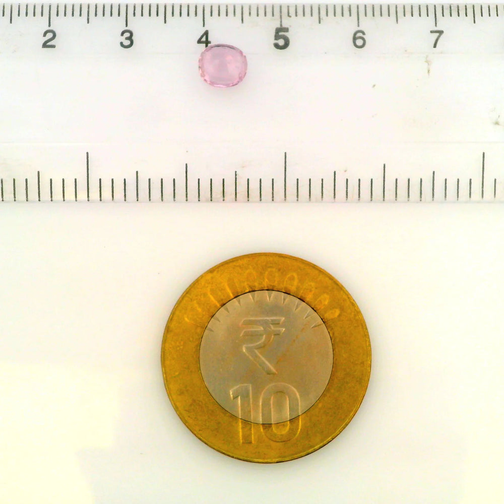 IGITL_201559_SCALE.webp