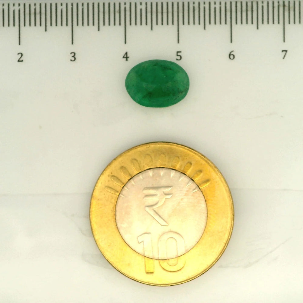 IGITL_203371_SCALE.webp