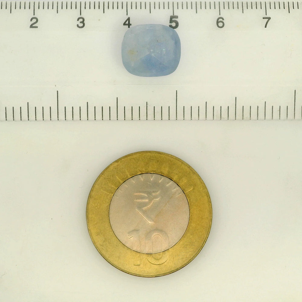 IGITL_205595_SCALE.webp