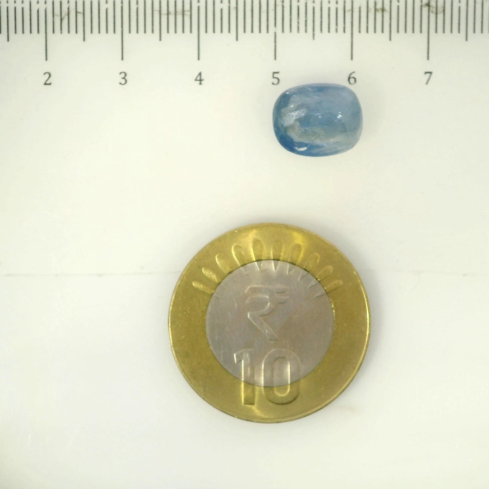 IGITL_205597_SCALE.webp