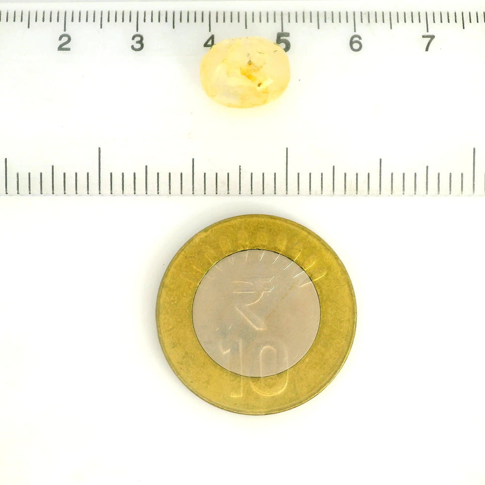 IGITL_205607_SCALE.webp