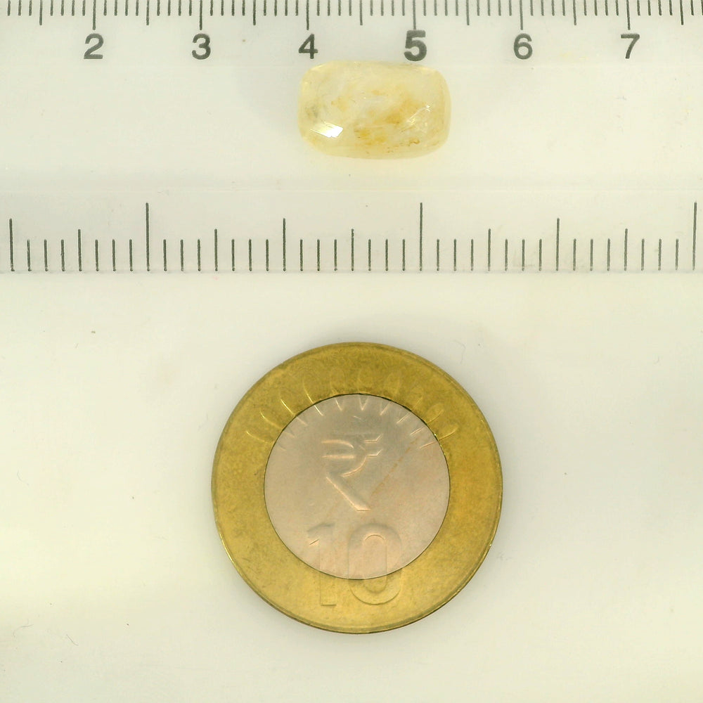 IGITL_205608_SCALE.jpg