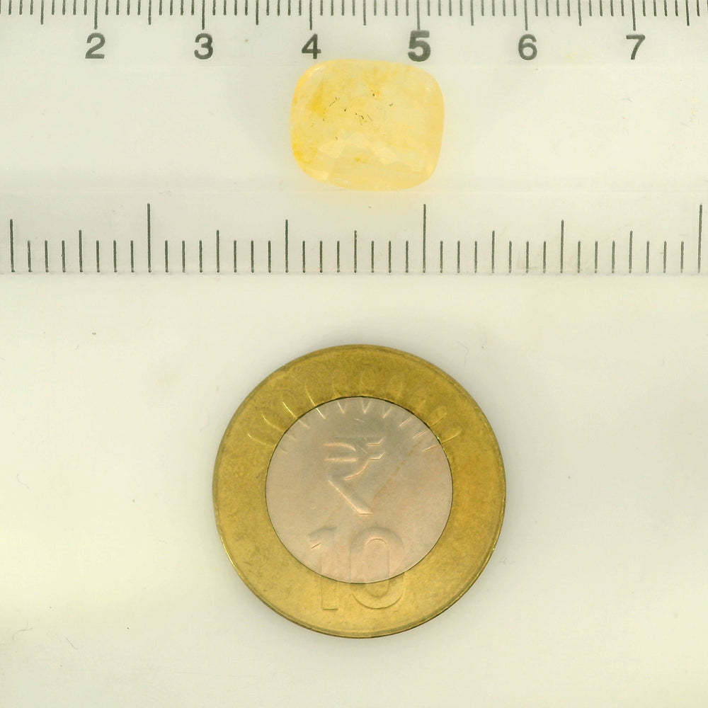 IGITL_205609_SCALE.jpg