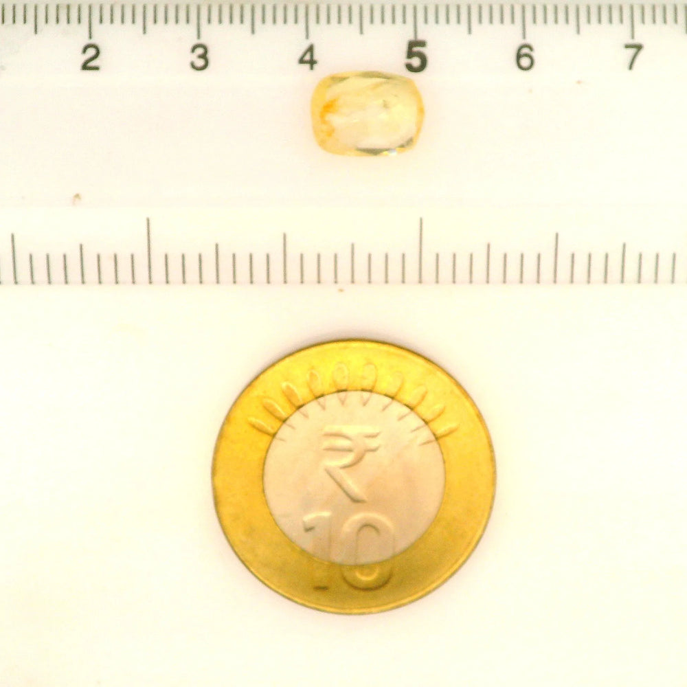IGITL_211672_SCALE.webp