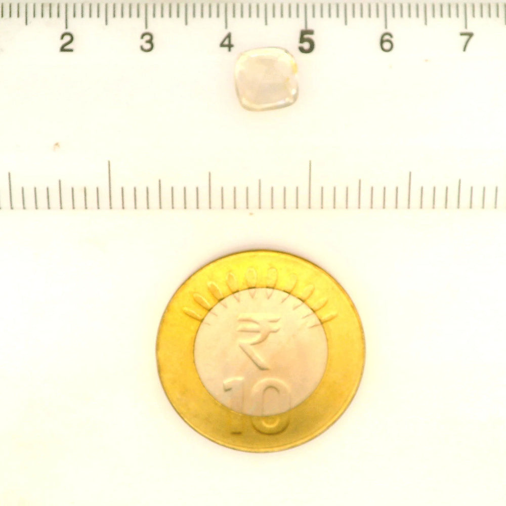 IGITL_211676_SCALE.webp