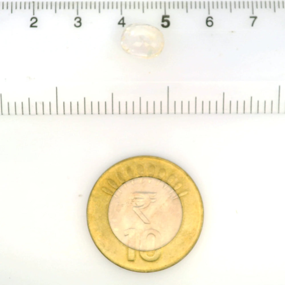 IGITL_211692_SCALE.webp