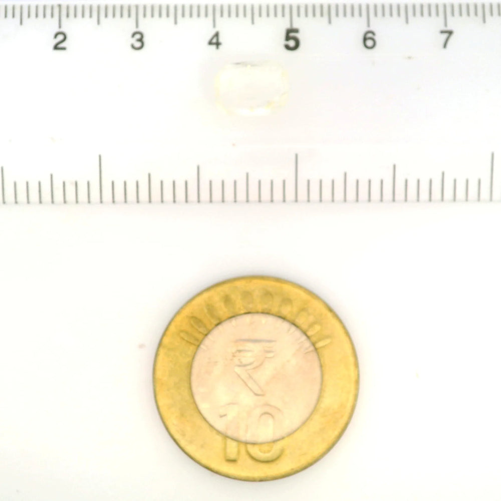 IGITL_211694_SCALE.webp