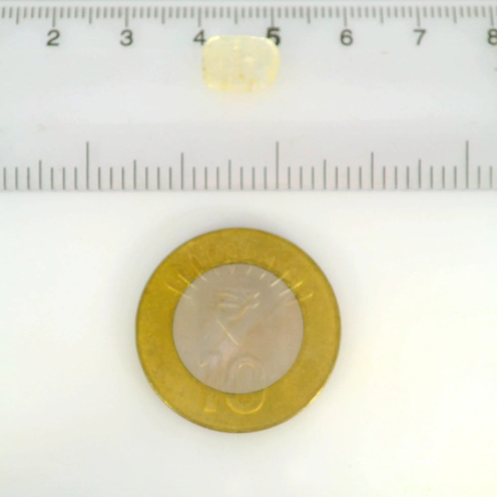 IGITL_211760_SCALE.webp