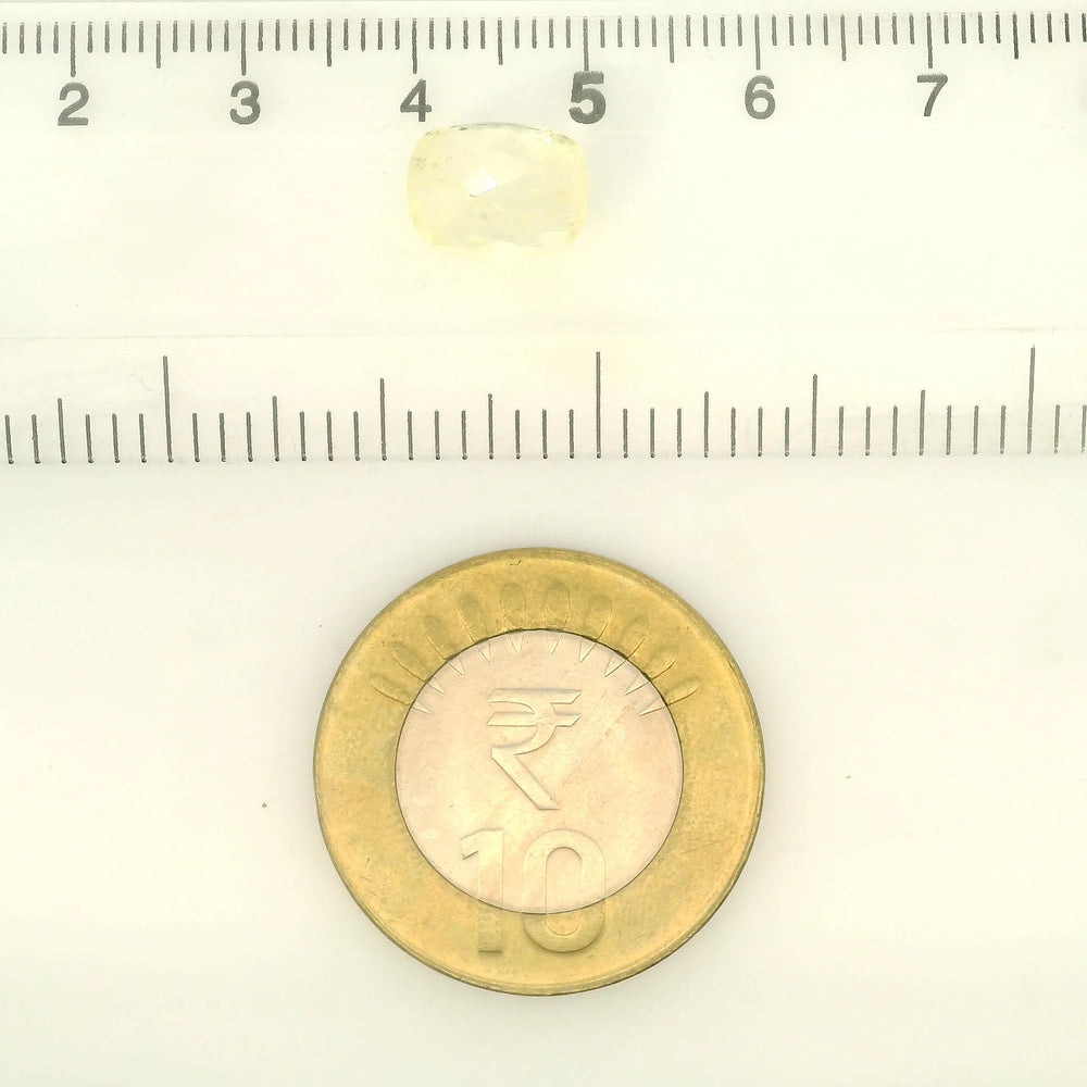 IGITL_211766_SCALE.webp
