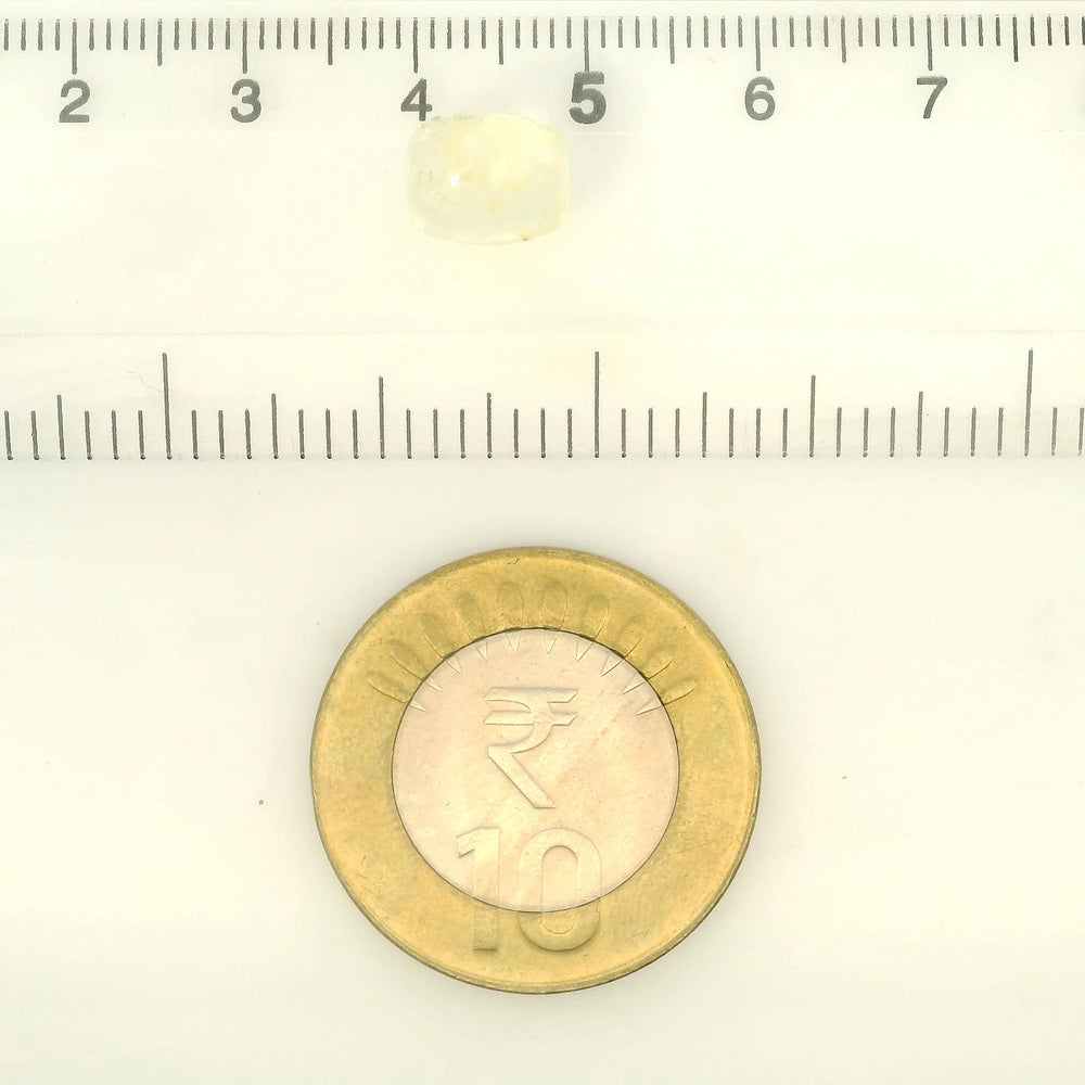 IGITL_211767_SCALE.webp