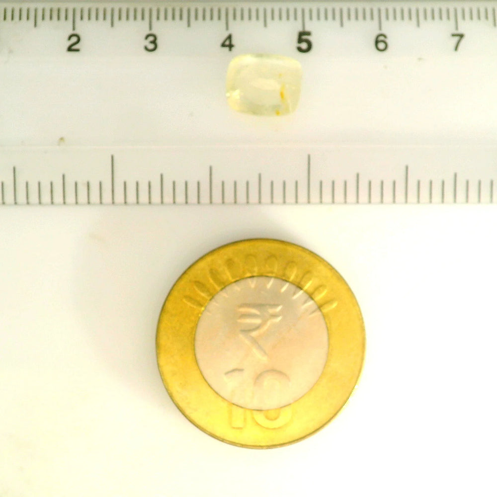IGITL_211771_SCALE.webp