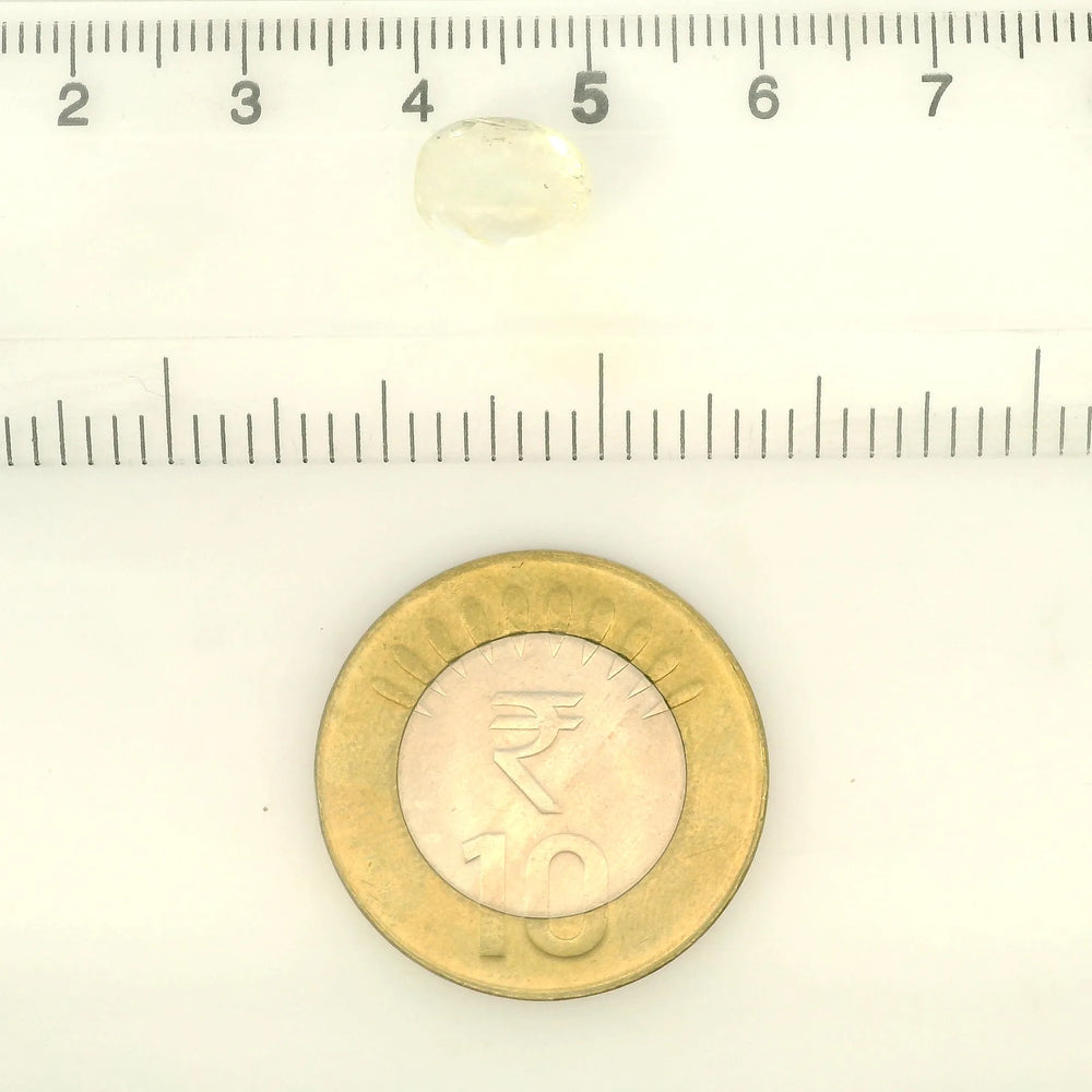 IGITL_211781_SCALE.webp