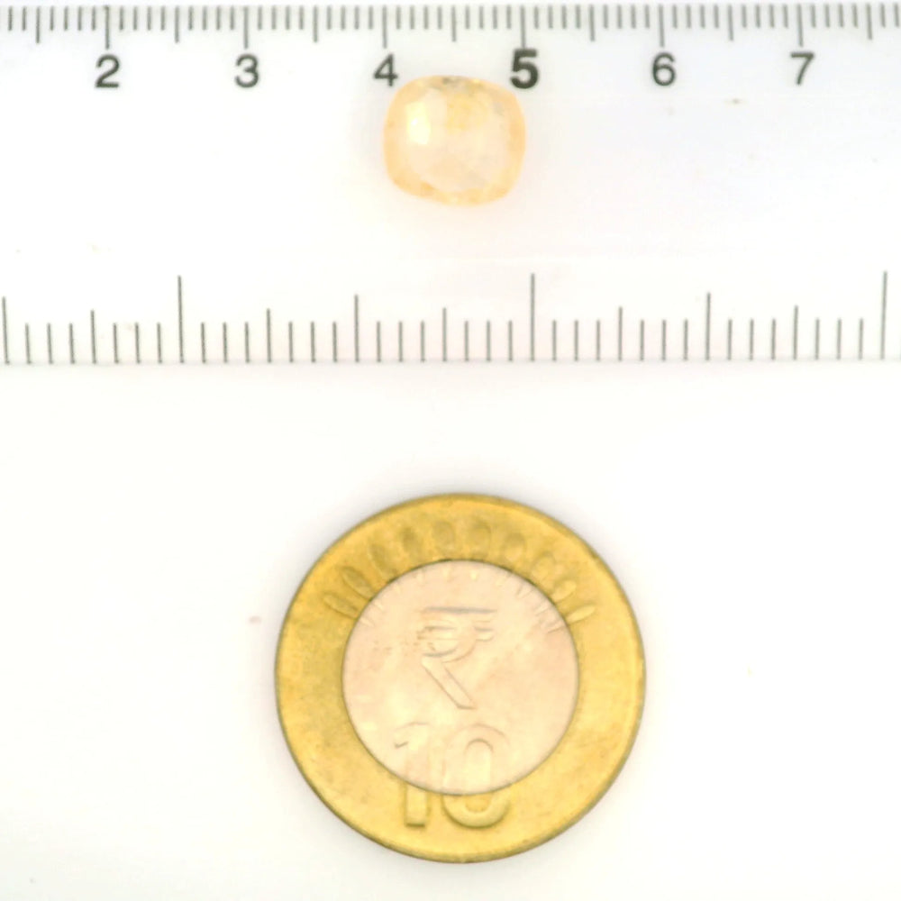 IGITL_211783_SCALE.webp