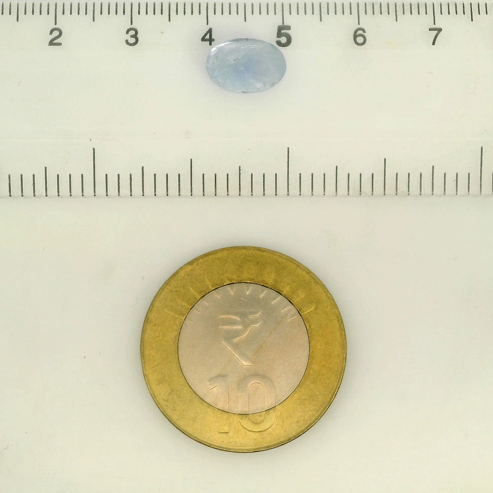 IGITL_211794_SCALE.webp