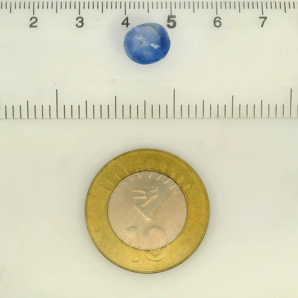 IGITL_211795_SCALE.webp