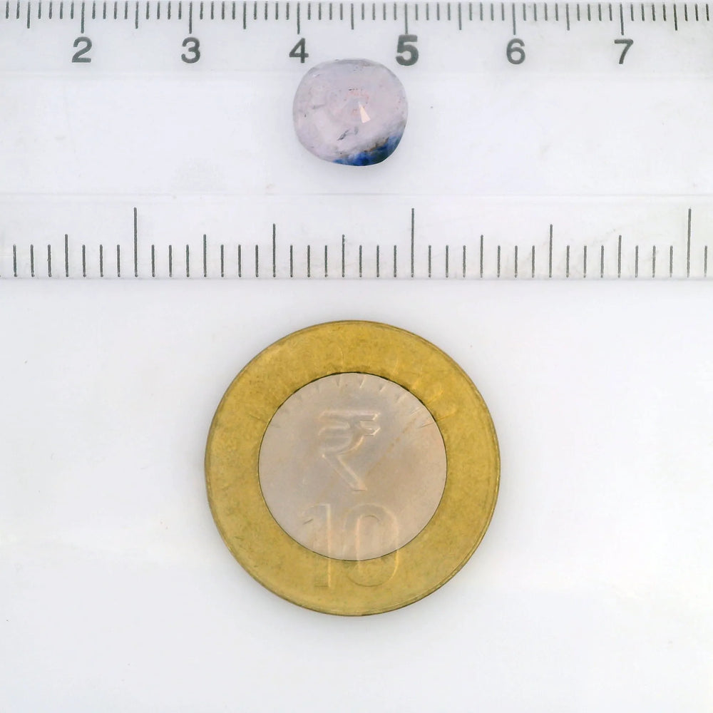 IGITL_211809_SCALE.webp