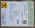 IGITL_211821_CERTIFICATE.webp