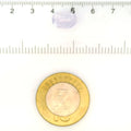 IGITL_211822_SCALE.webp