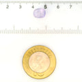 IGITL_211825_SCALE.webp