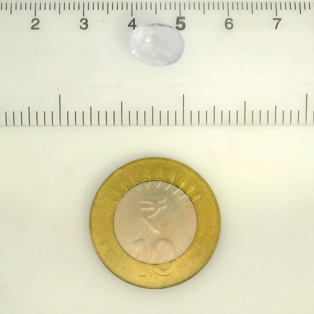 IGITL_211856_SCALE.webp