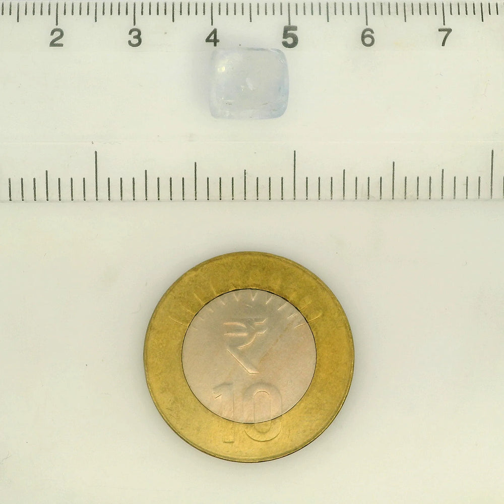 IGITL_211858_SCALE.webp