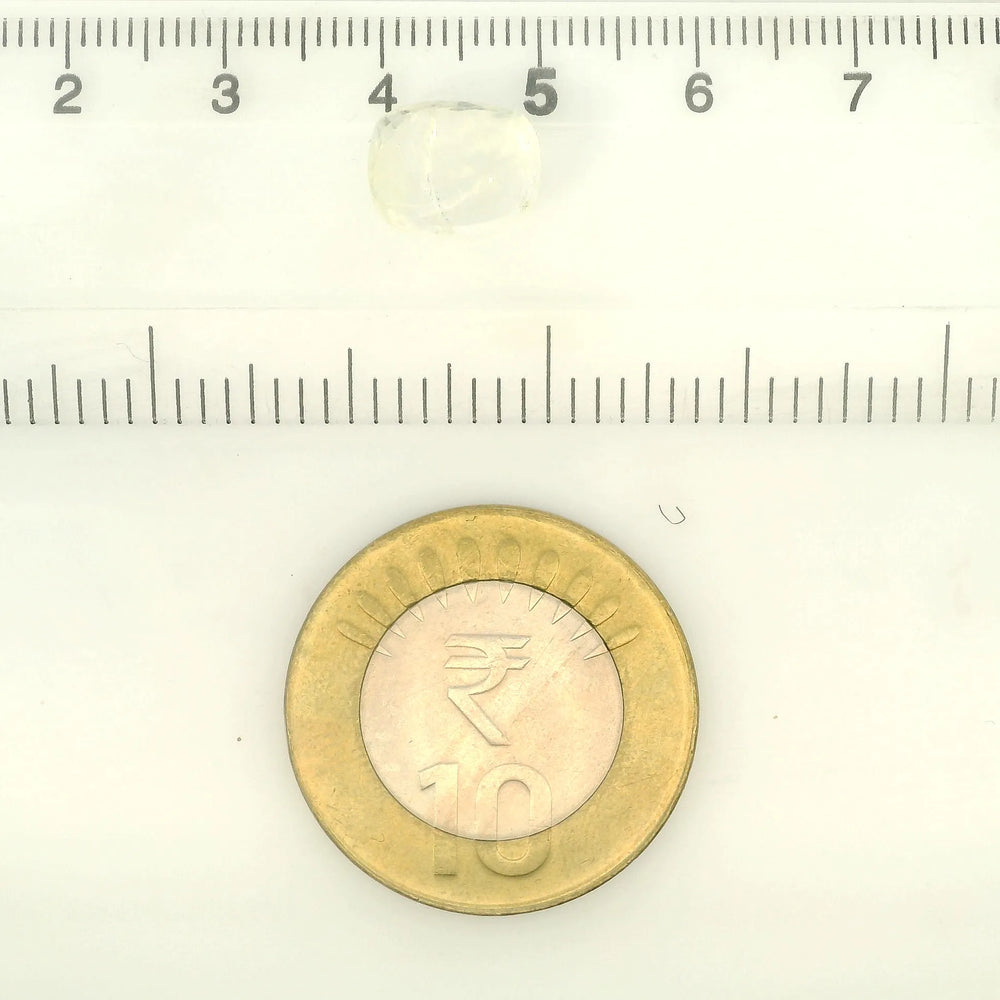 IGITL_211859_SCALE.webp